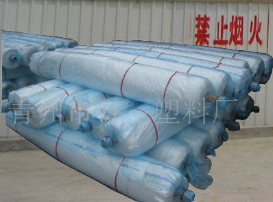 青州海飛塑料制品廠 優質灌漿膜、地膜、農膜、大棚膜批發供應商